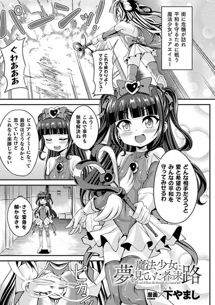 魔法少女に夢を見ていた者の末路（単話）