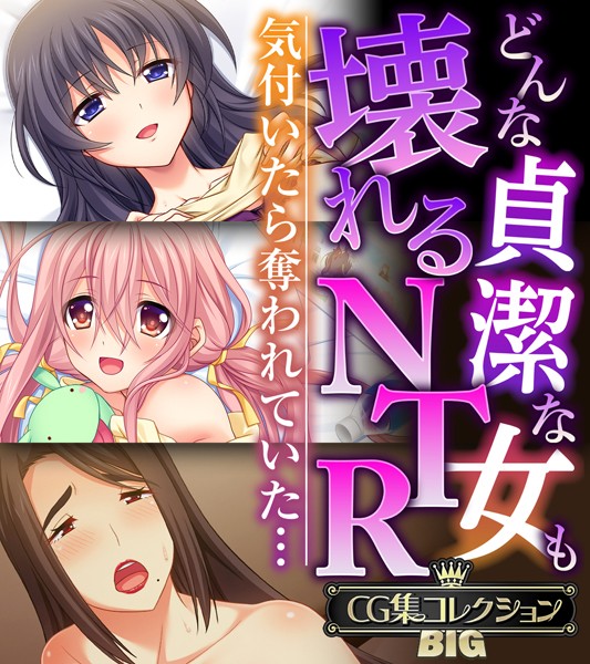 どんな貞潔な女も壊れるNTR〜気付いたら奪われていた…〜【CG集コレクションBIG】