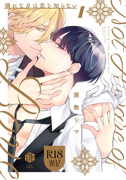 【18禁版】憐れなβは恋を知らない【コミックス版】【期間限定 試し読み増量版 閲覧期限2025年6月4日】
