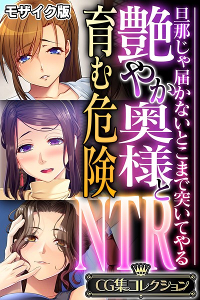 艶やか奥様と育む危険NTR 〜旦那じゃ届かないとこまで突いてやる〜【CG集コレクション】 モザイク版